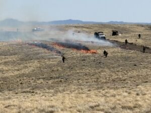 Schwachheim fire containment decreases to 50% as charred area increases