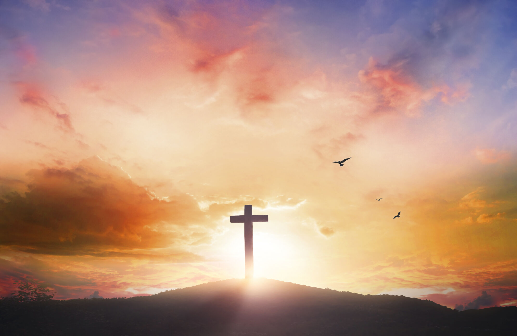EDITORIAL: A day of hope, joy and renewal for all