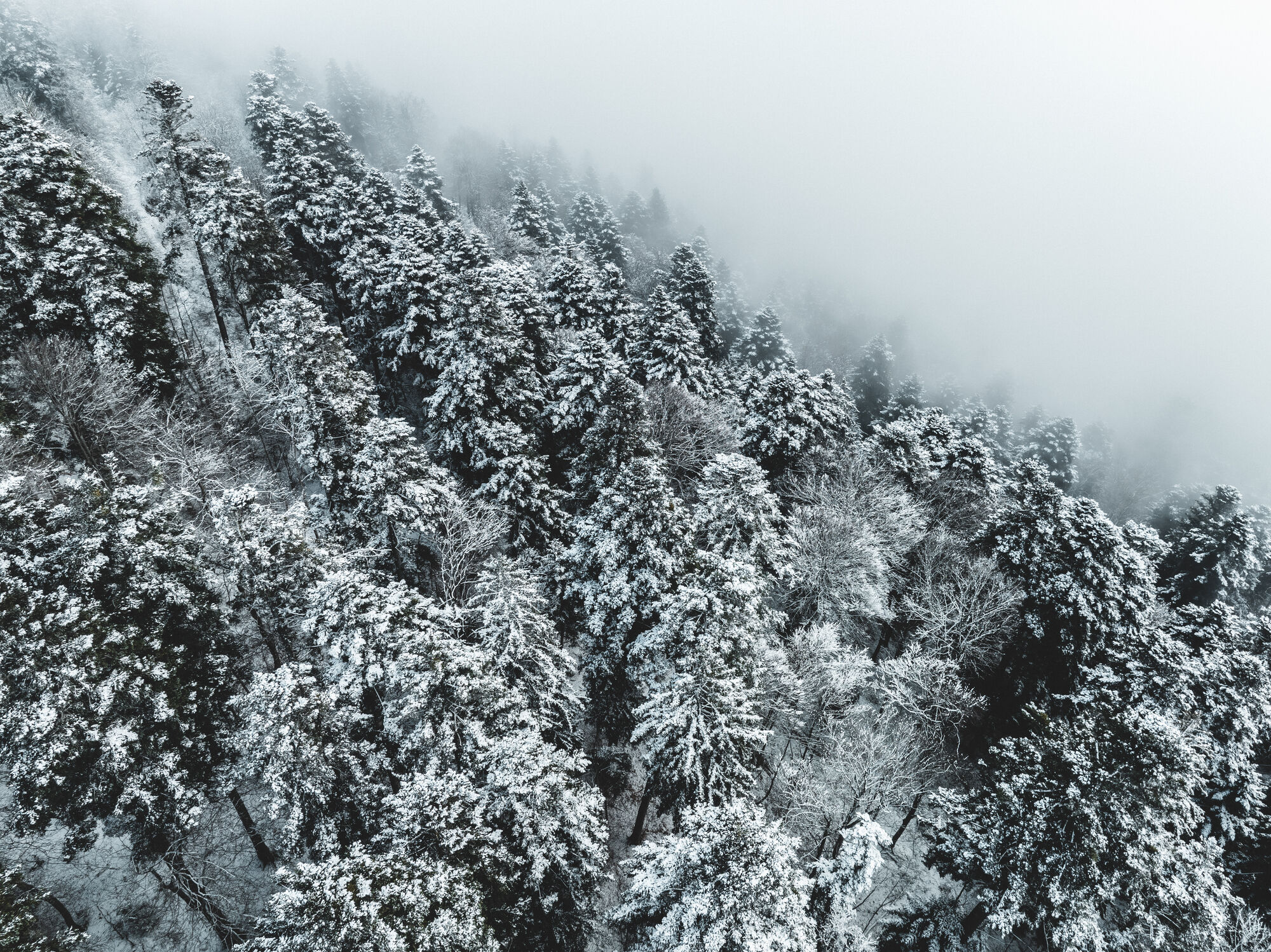 Up to 12 inches of snow could hit peaks on Friday – but more is likely on the way