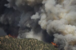 What does Colorado’s first statewide wildfire building code mean for homeowners?
