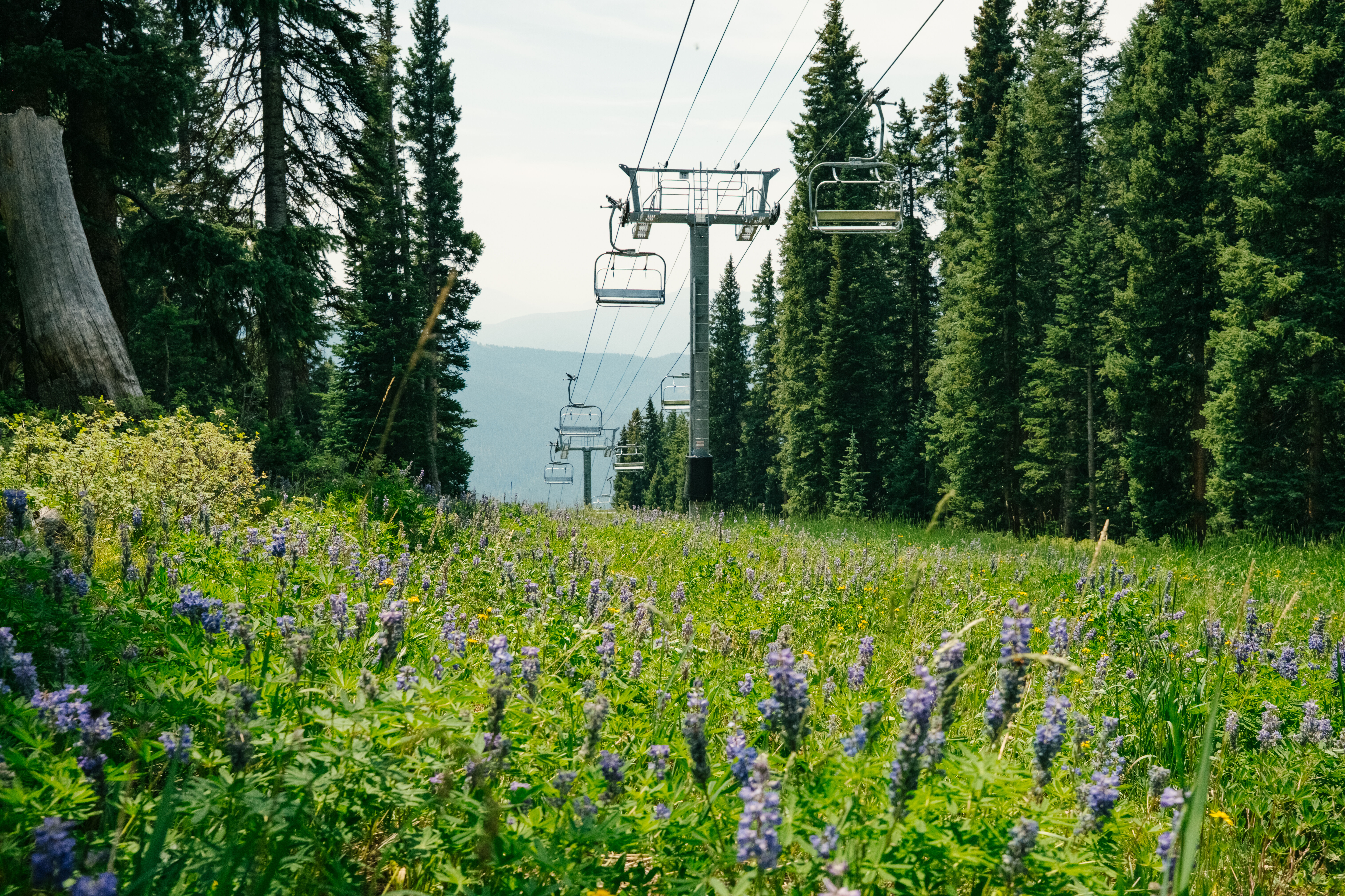 Vail Resorts announces operating dates for summer season