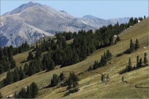 New singletrack coming to one of Colorado’s most iconic trails: ‘A very important addition’