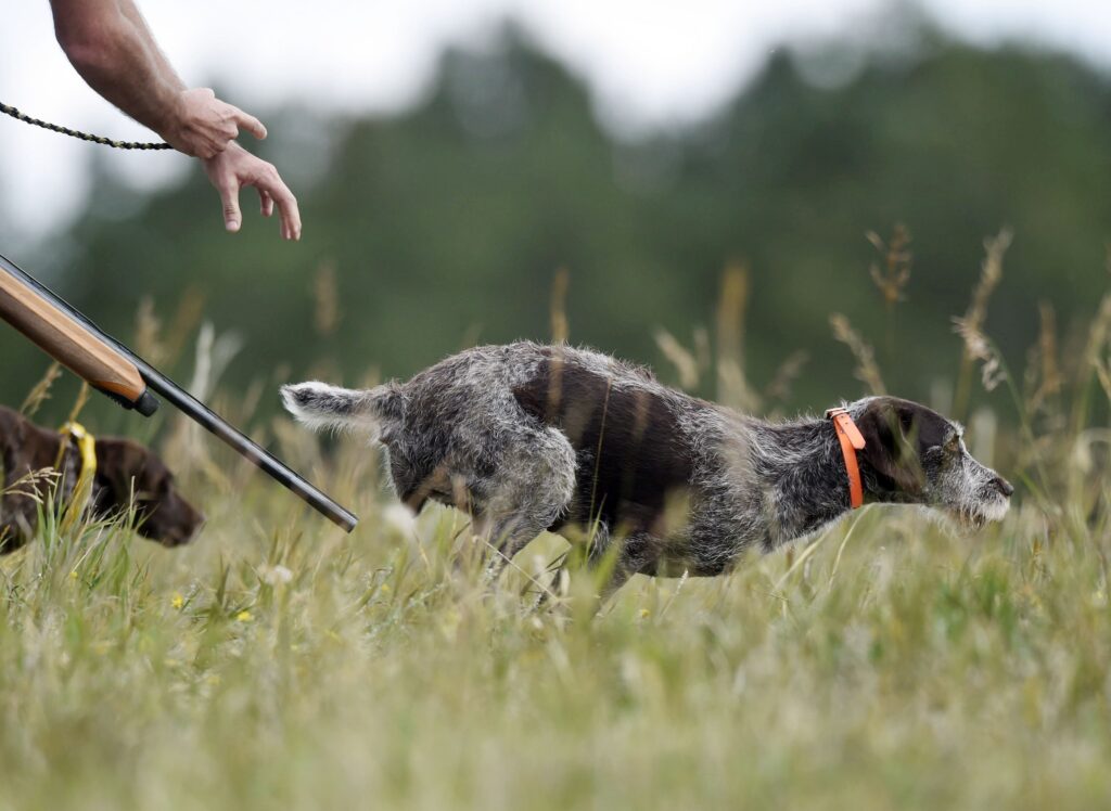 EDITORIAL: Colorado’s hunters, anglers push back