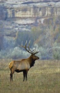 Conservation group launches ballot drive for constitutional right to hunt and fish
