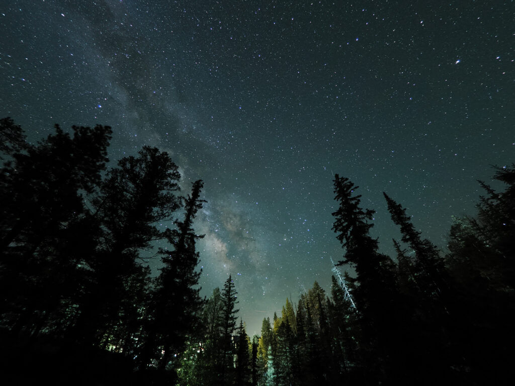 The stars twinkle and a distant cabin light glows upon Colorado's pines. Photo credit DarkSky International/Camille Trujillo