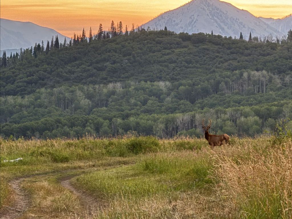 $3.9 million deal allows for conservation of 3,386 “critical” acres in Colorado