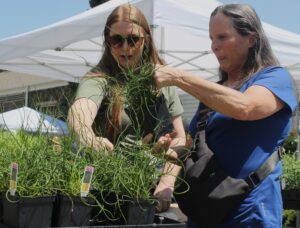 Pair of plant sales kick off Mother’s Day weekend in Denver