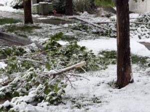 Metro Denver area residents clear storm debris after heavy May snowfall