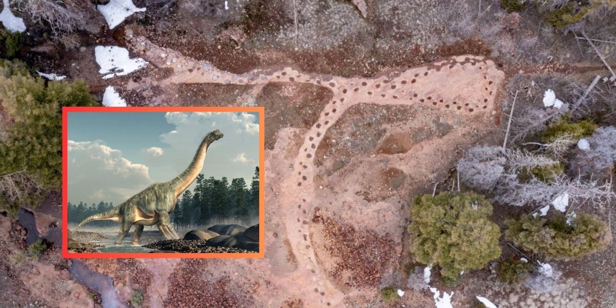 This remote Colorado hike leads to 134 preserved dinosaur footprints at 9,300 feet of elevation