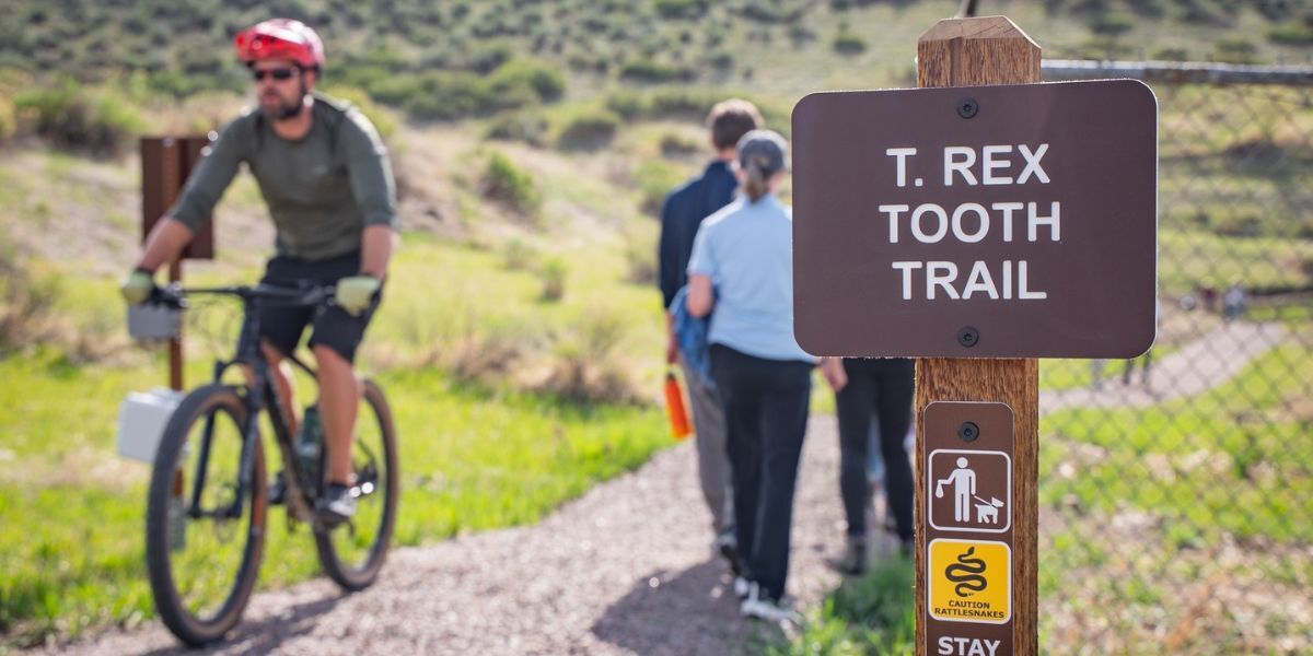 New trail opens in area where first T-rex tooth was found in North America – in 1874