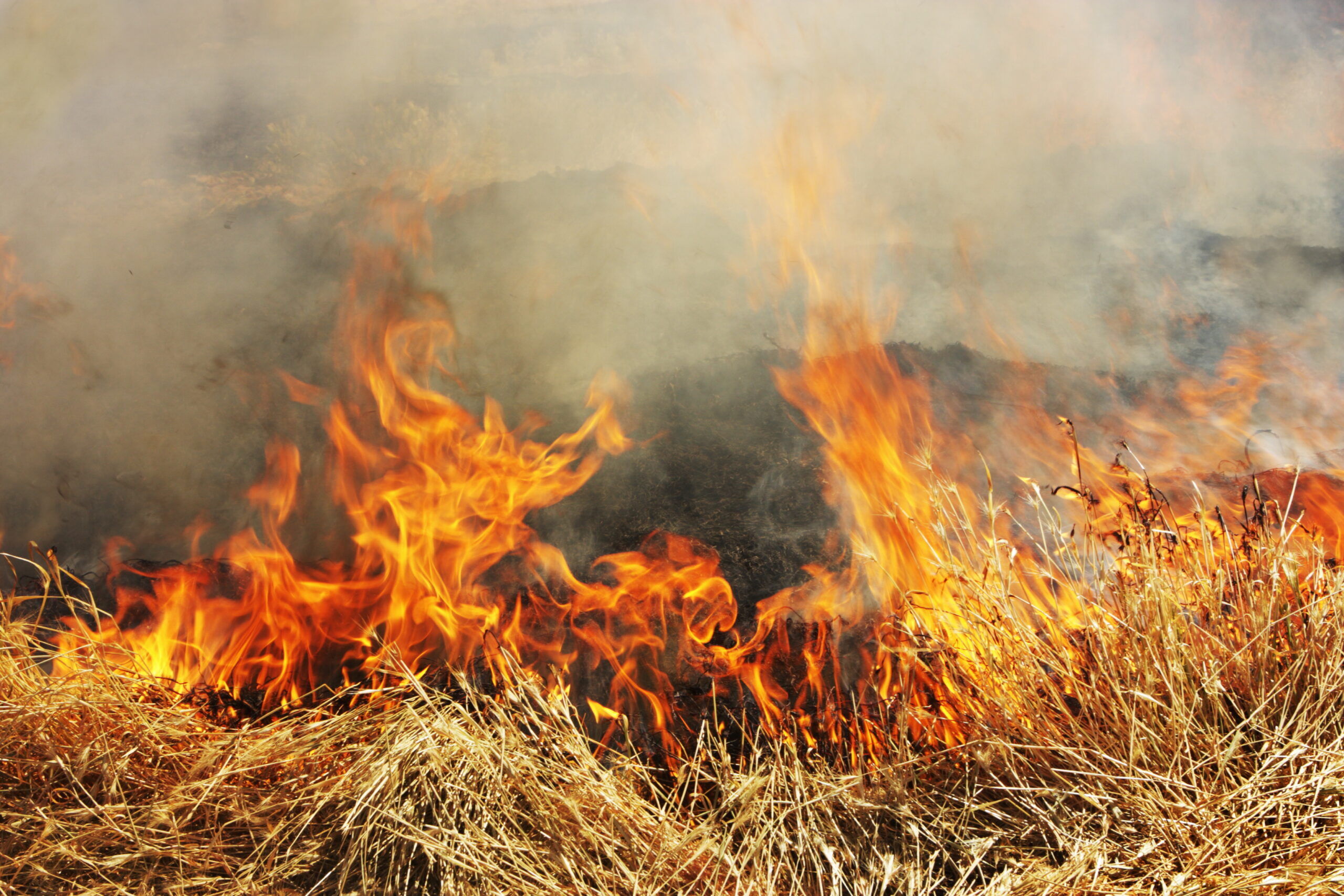 Mandatory evacuations underway near reservoir due to new wildfire in Colorado
