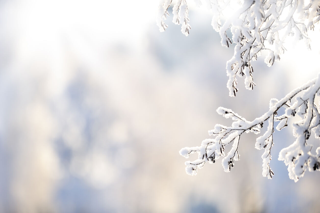 Weekly Weather Outlook for Colorado: May 4 through May 10