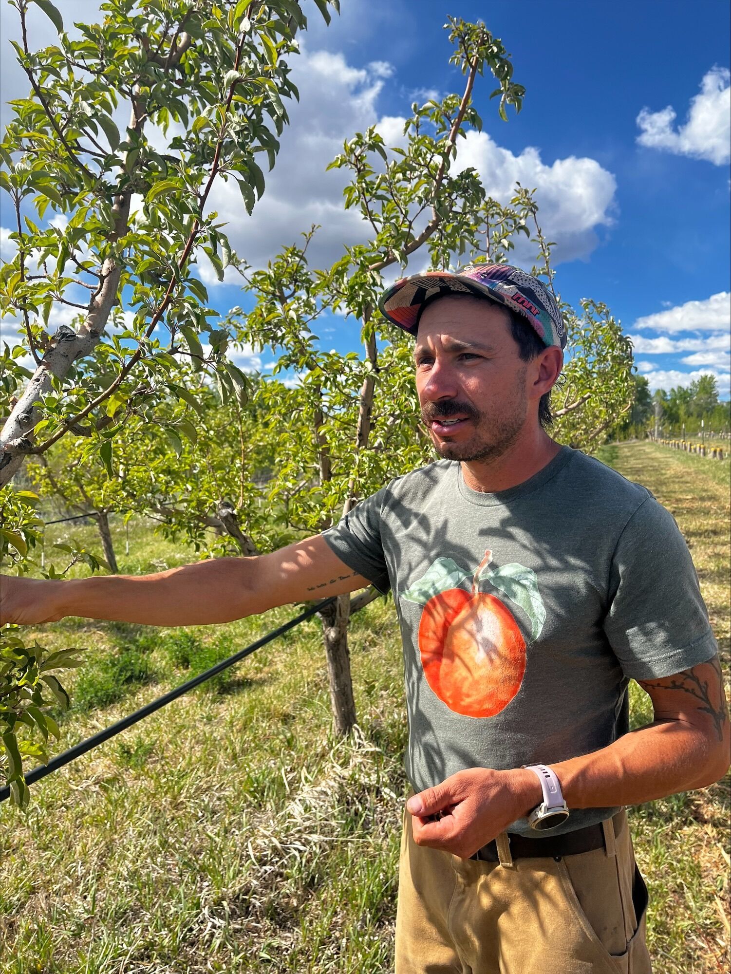April freeze leaves some Western Slope farmers without a crop