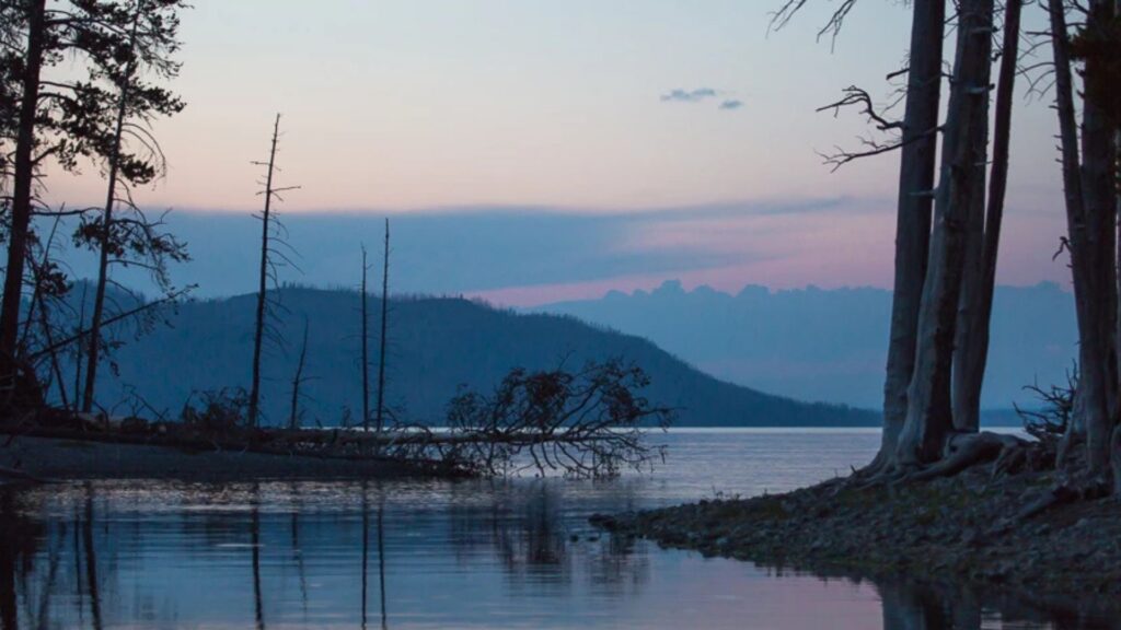 Denver man found dead in Yellowstone National Park