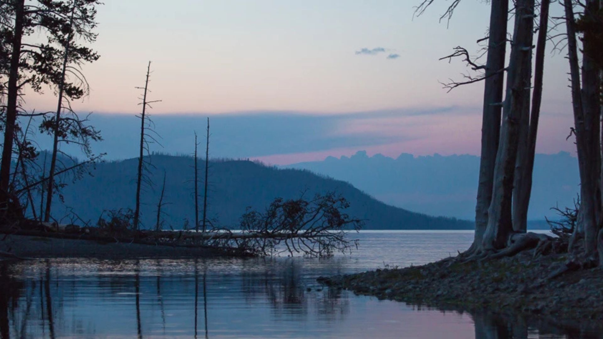 Denver man found dead in Yellowstone National Park