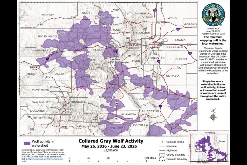 This map depicts wolf movement from May 26 through June 23. Map: Colorado Parks and Wildlife.