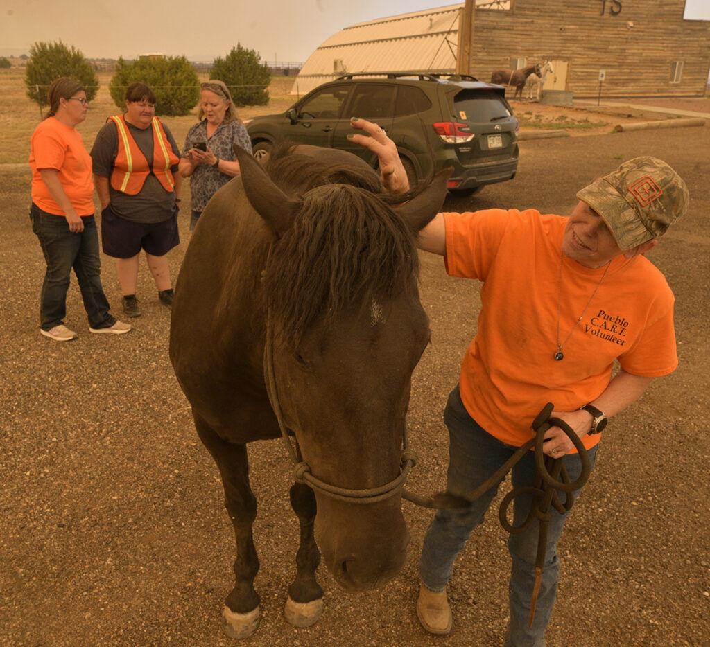 Volunteer Teena McKinley-Hull gives some love to Pretty Lady while her owner, Colleen Estes, talks about how to move her horse to the State Fairgrounds on Monday, June 29, 2026.