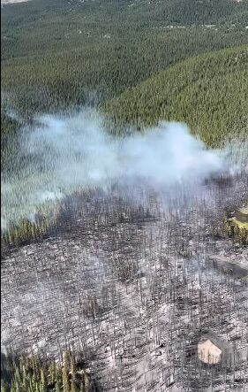 Willow fire