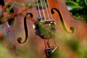 Denver area events for June 22