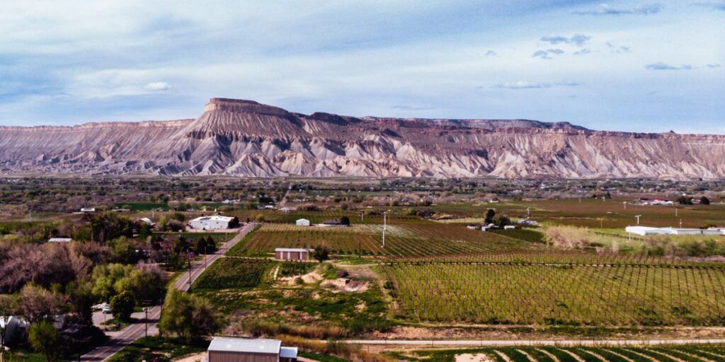 View of the town of Palisade.