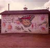 A butterfly mural at Taylor's Acre corral, Fillmore and Templeton Gap from the 1970s to 2011. Kass Johns Photo