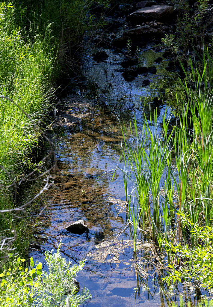 A creek runs below the Phantom Canyon Road between Cañon City and Victor, Colo., on Thursday, June 11, 2026. (The Gazette, Christian Murdock)