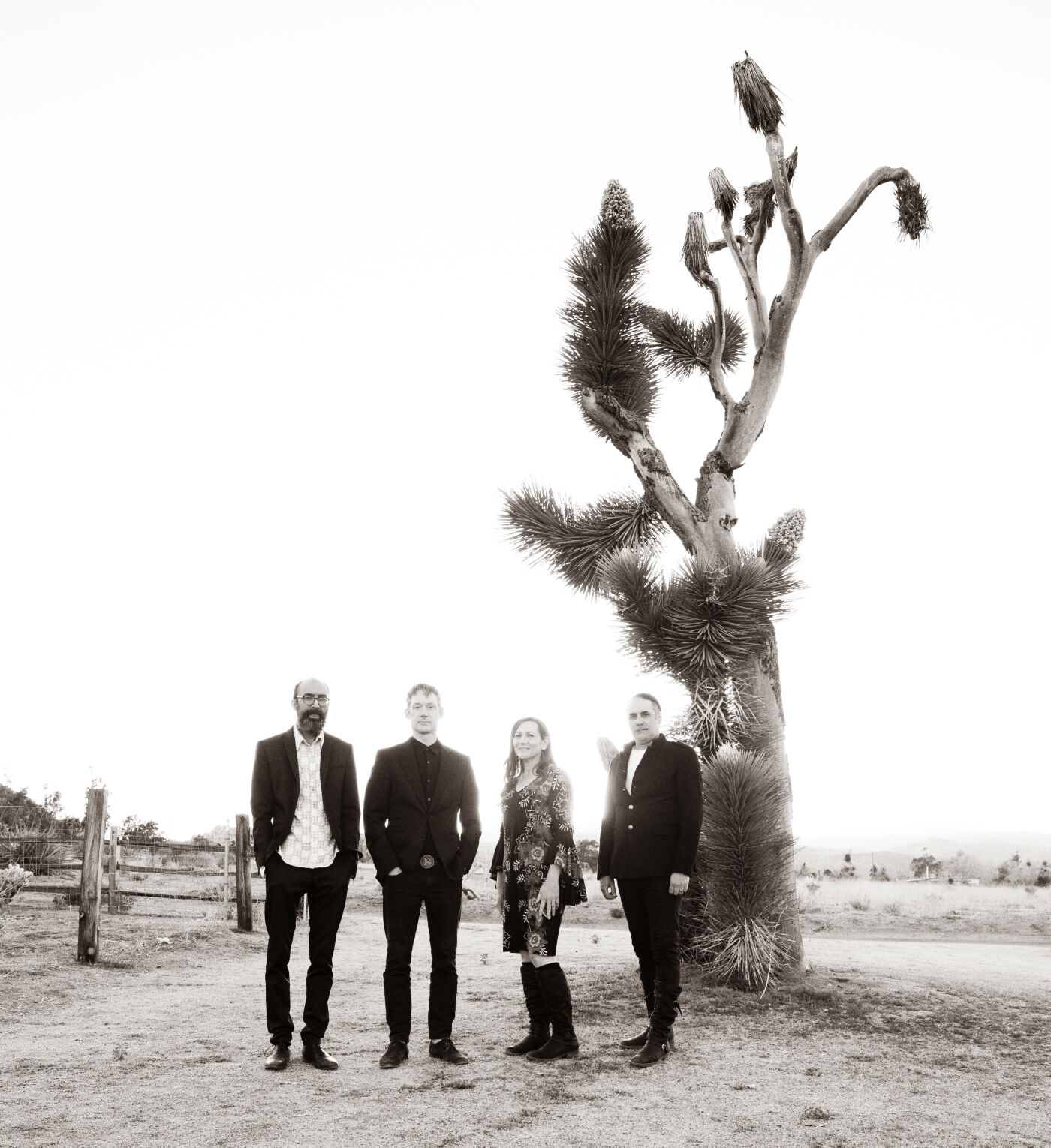 The DeVotchKa story: ‘Little Miss Sunshine’ meets cosmic pizza
