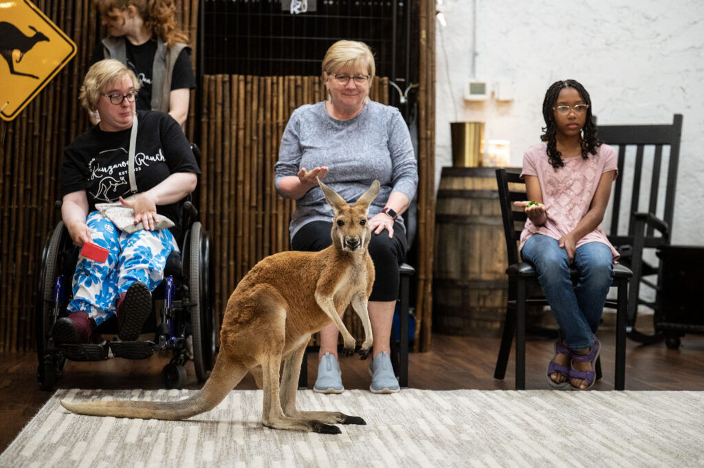 (From left) Maddie Olson, Kathy Scaarangella, and Sophia Leake, 11, hold lettuce in their hand to feed Kangaroos during a meet and greet at Kangaroo Ranch in Wheat Ridge on Thursday, July 16, 2026.