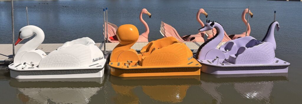 News Nuggets: Paddle boats, first responders and lane closures