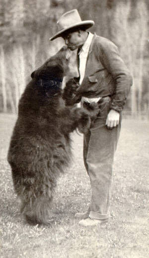 Frank bear