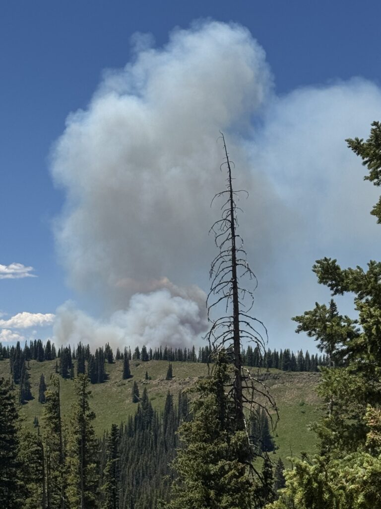 Steamboat fires