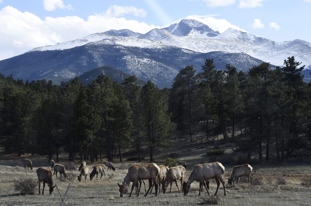 Hiker found dead on Long’s Peak trail Sunday