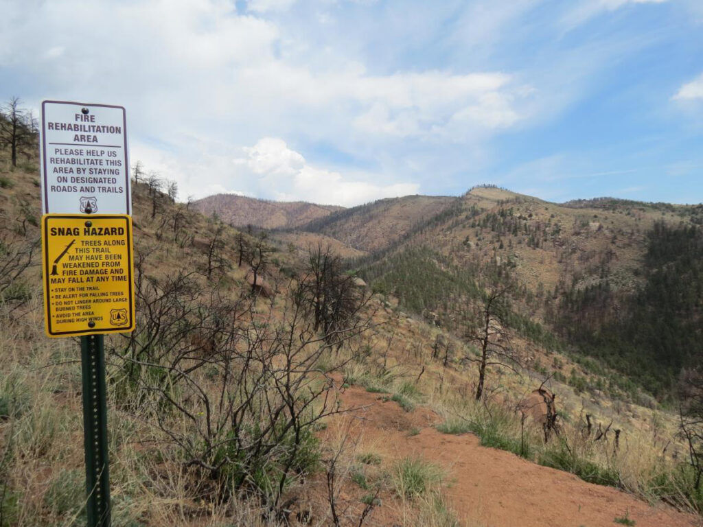 Waldo Canyon's trail, trailhead and recreation areas are closed to the public until June 30, 2029 as its thousands of acres are reforested and made safe. Rocky Mountain Field Institute photo.